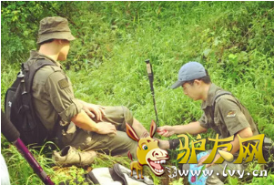QQ��ͼ20160425162940.png