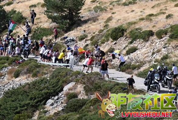 1.jpg